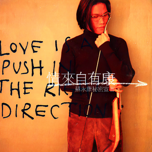 许安妮醉酒免费版
