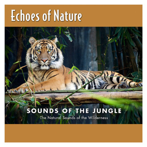 许安妮醉酒免费版
